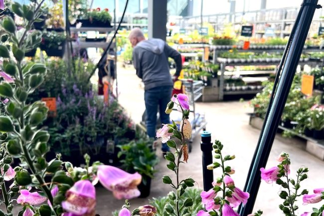 Bunnings strikes deal with plant growers fearful of 'retribution'