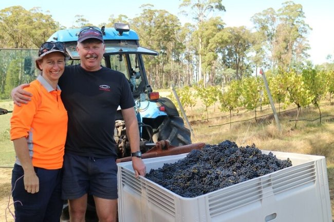 Harvest time is family and friends time