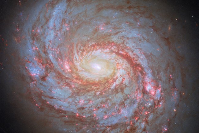 Hubble Spots a Squid in the Whale