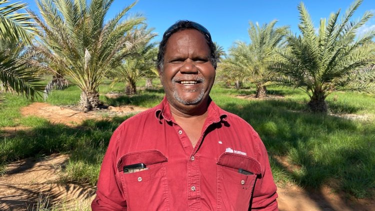 Date variety discovered by outback horticulturalist now grown globally