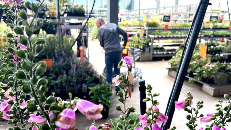 Bunnings strikes deal with plant growers fearful of 'retribution'