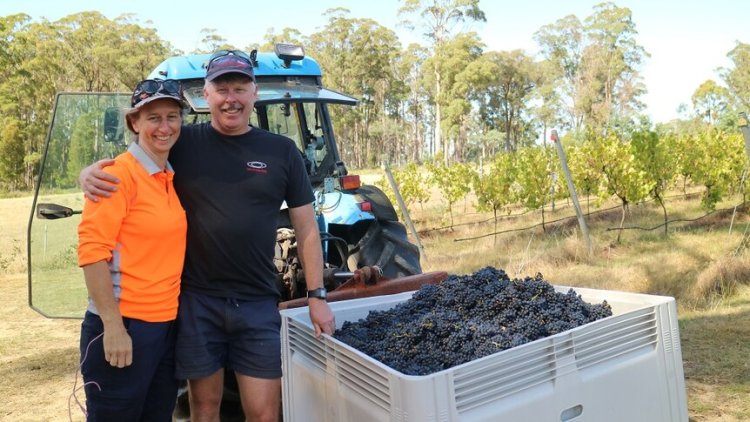 Harvest time is family and friends time