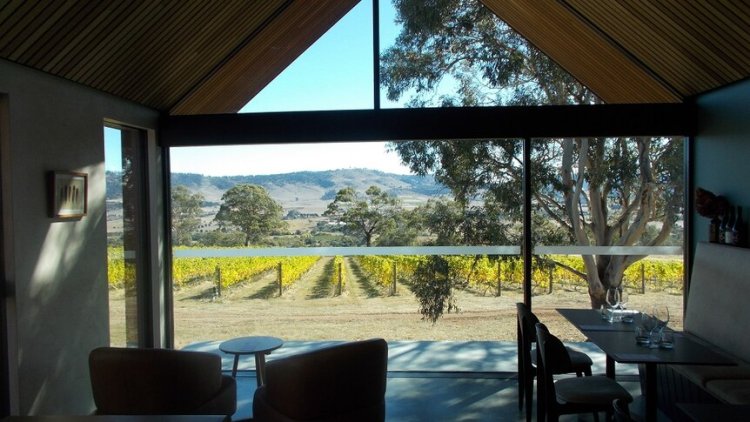 Agri tourism on the go at one Coal River Valley Vineyard